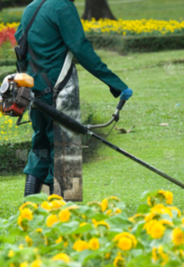 ԰���̻�����